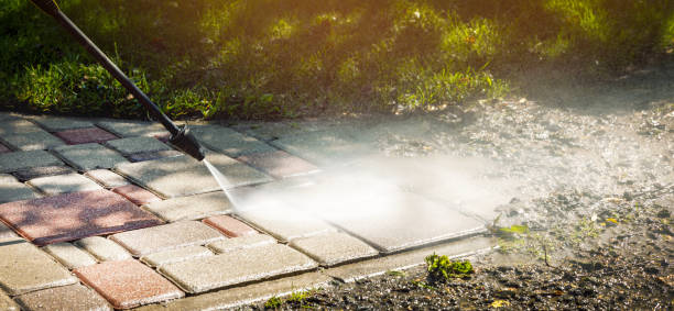 Best Driveway Pressure Washing  in Buchanan, MI